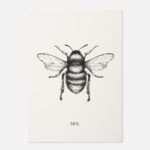 Front view of Manchester Worker Bee Print by The Sculpts, black and white pen bee illustration on cream background with MCR. text