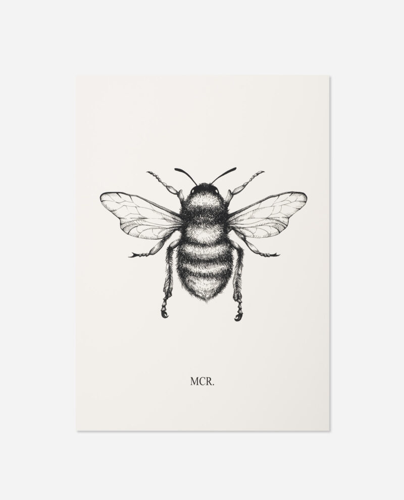 Front view of Manchester Worker Bee Print by The Sculpts, black and white pen bee illustration on cream background with MCR. text