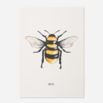 Manchester Bee Rendered Print with full-colour illustrated bee, yellow and black body stripes, delicate wing detail and MCR typography on cream card