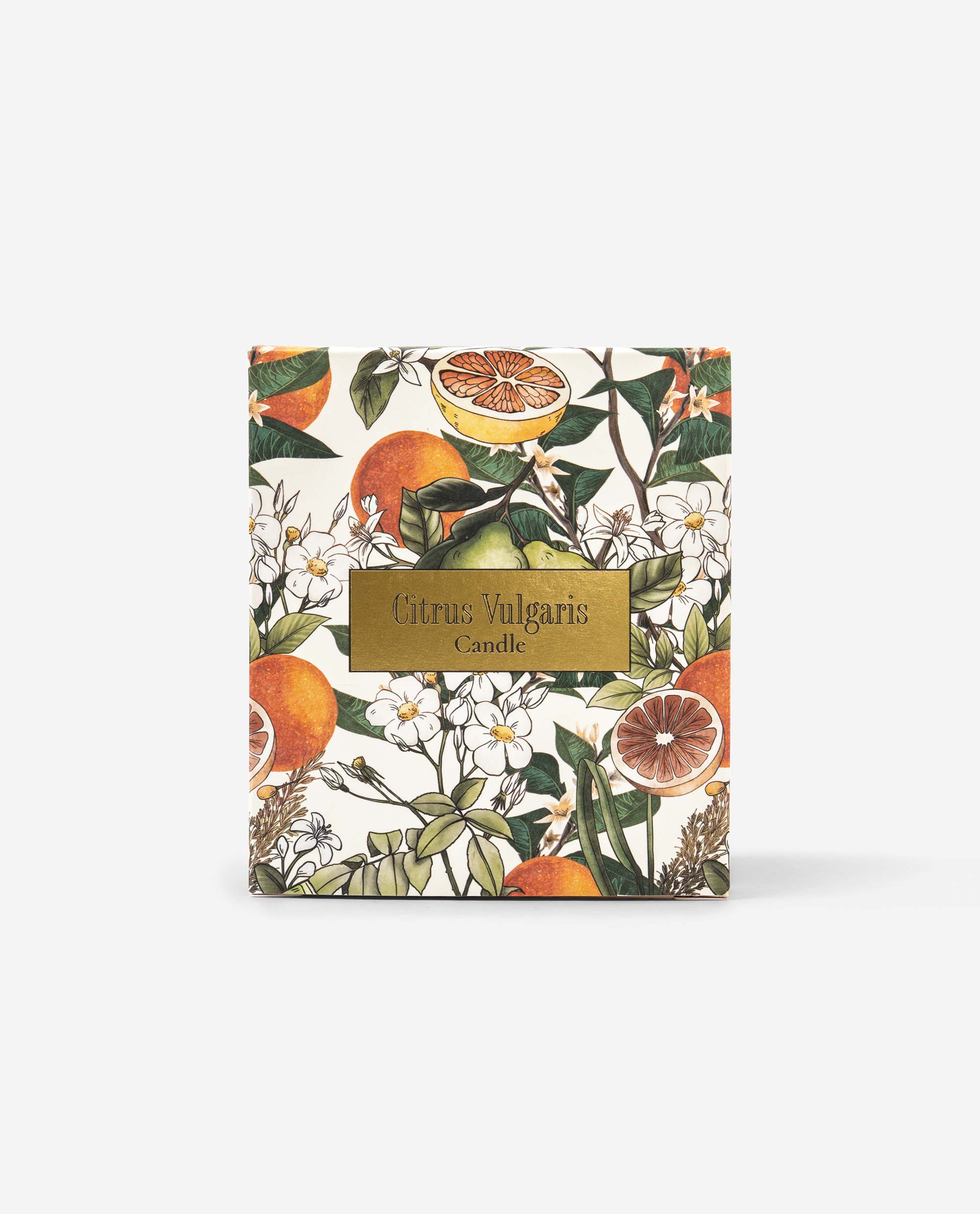 Citrus Vulgaris candle presentation box featuring illustrated oranges, green leaves and white flowers on decorative packaging