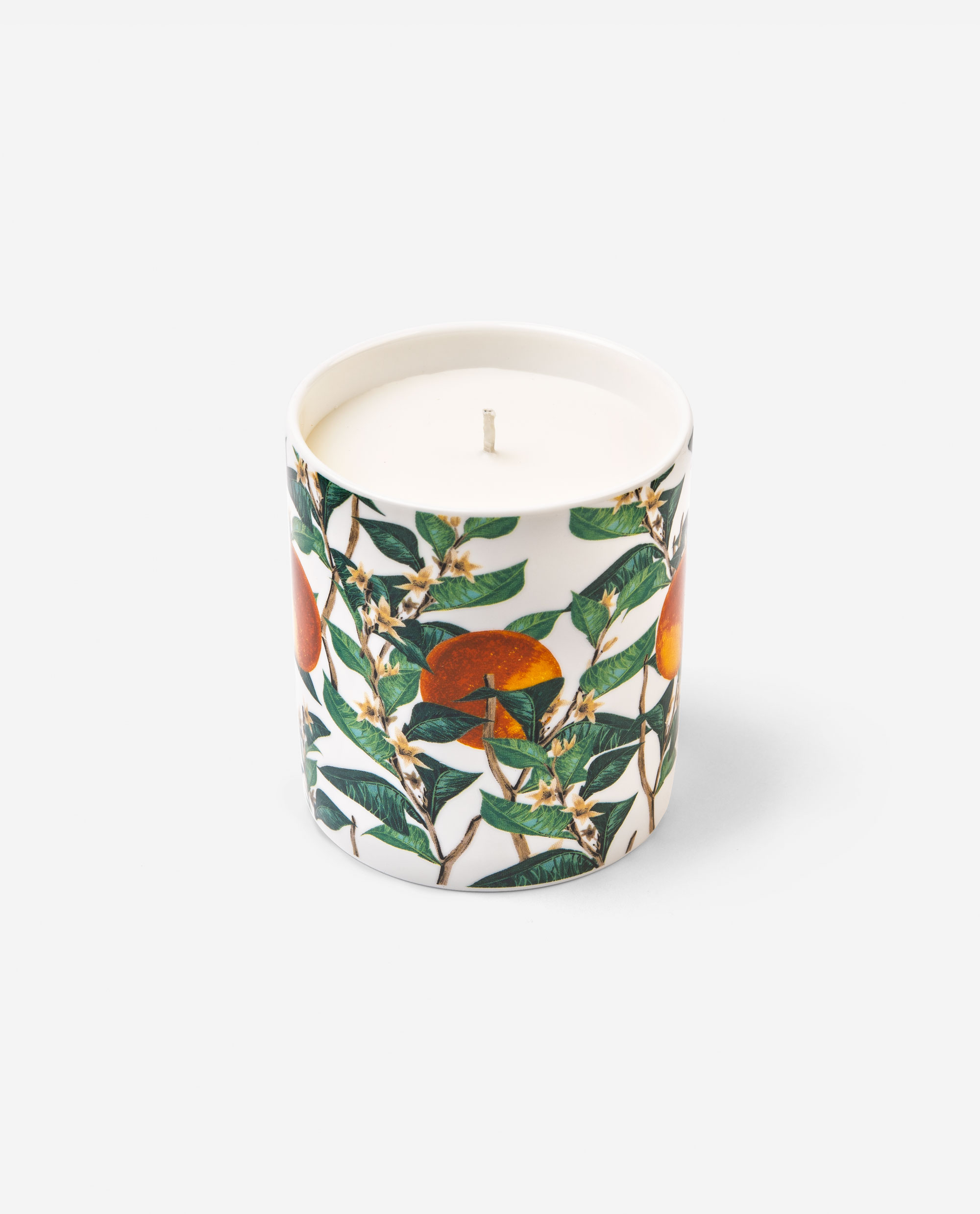 Top view of Citrus Vulgaris bergamot candle showing cream wax and wick inside decorated bone china vessel