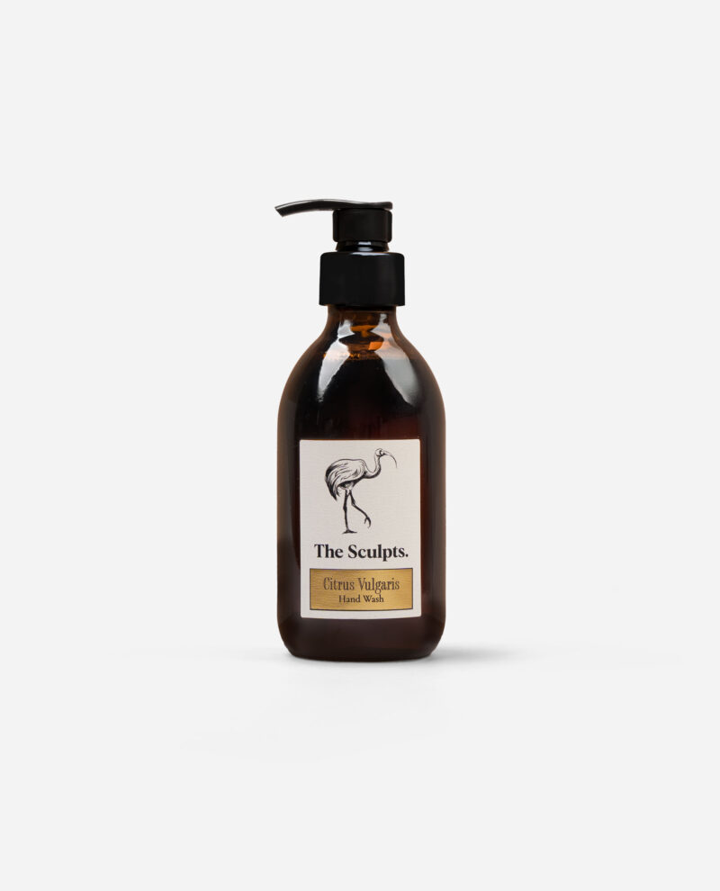 Amber glass pump bottle of Citrus Vulgaris hand wash with black dispenser and cream label featuring bird illustration by The Sculpts