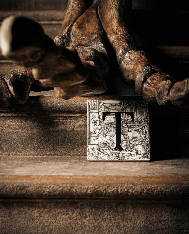 Manchester Museum T tile on steps